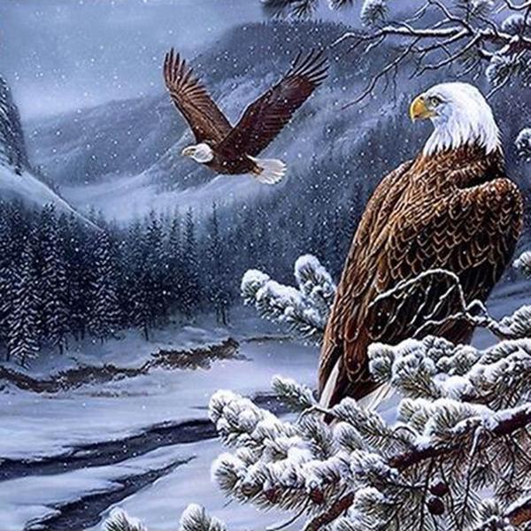 Eagles Winter PIX-316